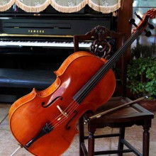 泰興市韻音樂器廠 專業樂器零售，專注提琴品質