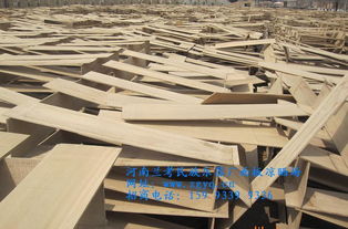 誠招琵琶代理 河南蘭考民族樂器廠產(chǎn)品詳情及合作機會