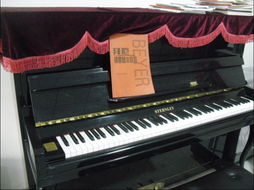 廣漢魅樂(lè)琴藝 一站式樂(lè)器零售與音樂(lè)夢(mèng)想的啟航地