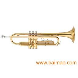 專(zhuān)業(yè)樂(lè)器供應(yīng) 批發(fā)零售全新原裝正品雅馬哈、卡西歐、美德理、羅蘭電子琴